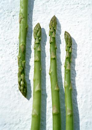博多の人気のもつ鍋を食べましょう